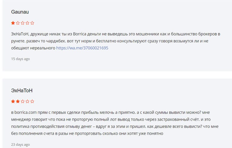 Обзор проекта Borrica и отзывы пользователей о его работе. Отзывы о лохотроне?