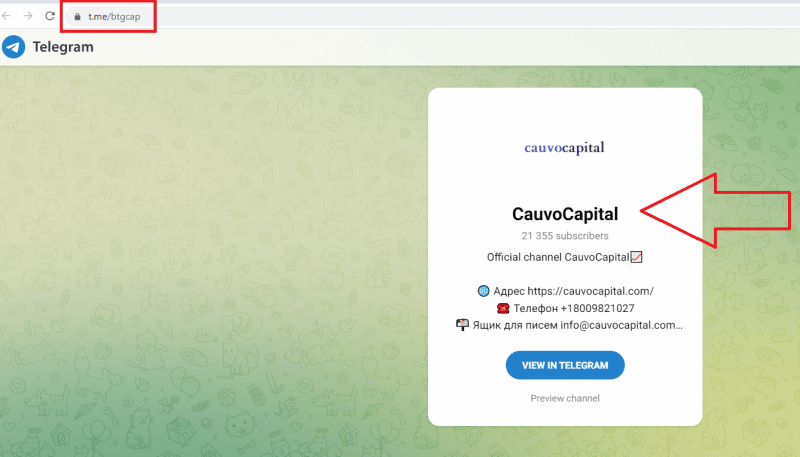 Cauvo Capital отзывы cauvocapital.com