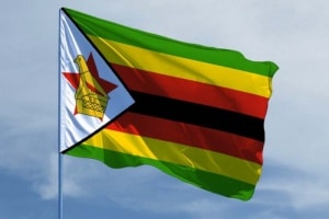 Центробанк Зимбабве выпустит цифровую валюту с золотым обеспечением