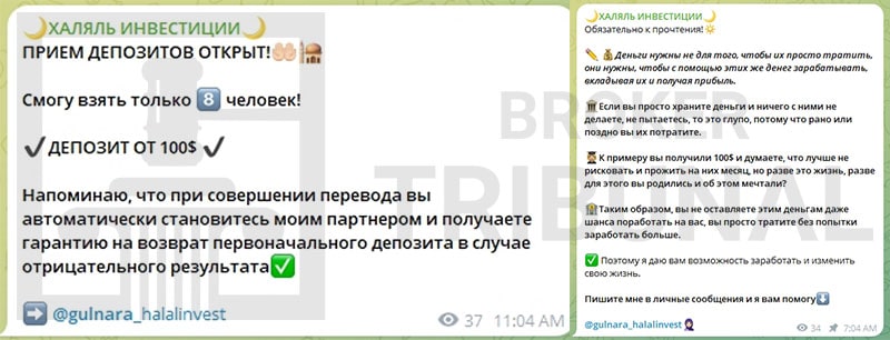 Как Telegram-аферистка Гульнара Халяль дурачит доверчивых инвесторов
